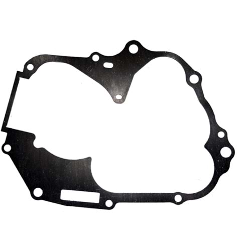 KARTER ARA CONTA CUB 100