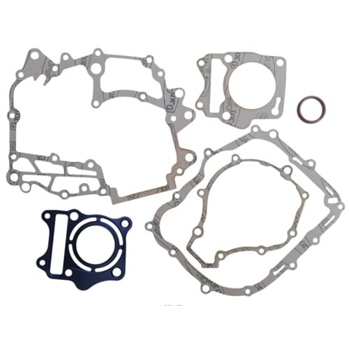 TAKIM CONTA sarı TVS RAİDER